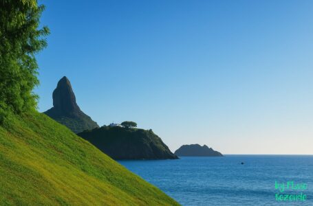 HERALDO PALMEIRA Pequenas ilhas