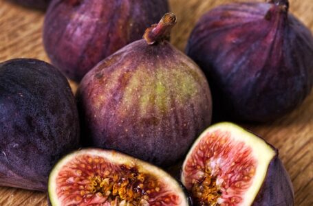 HERALDO PALMEIRA Figos preciosos